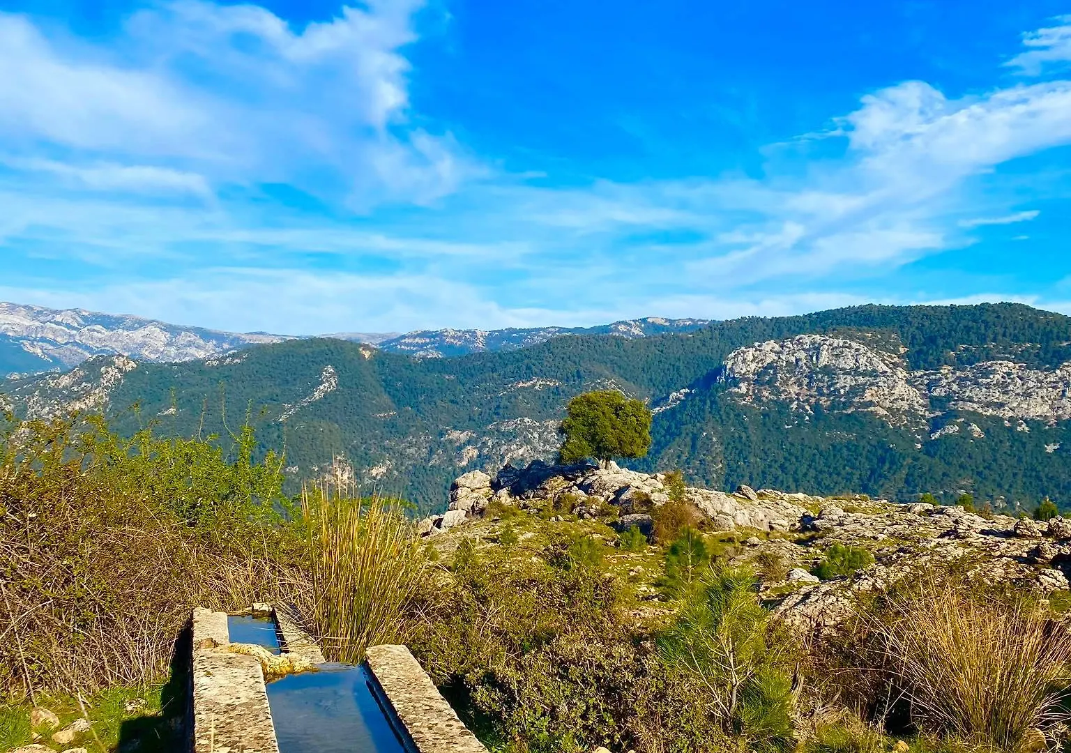 ****  Hotel El Curro Burunchel Spain